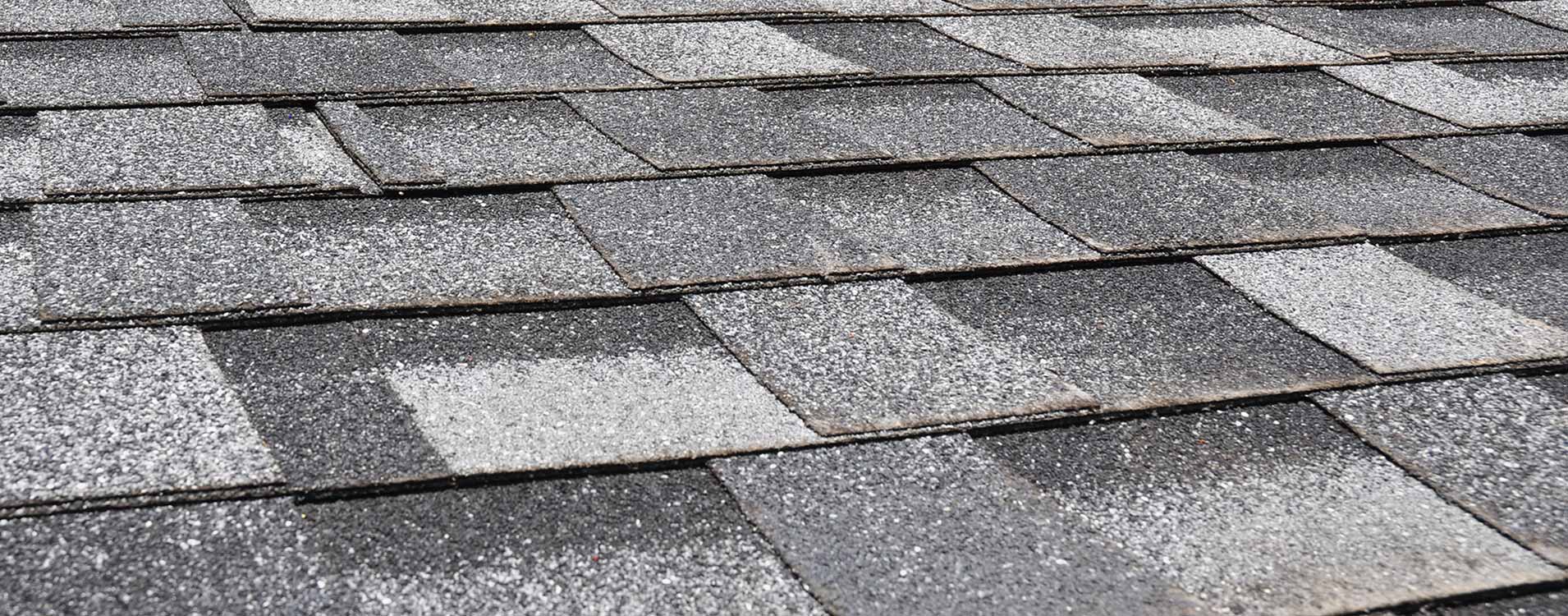 shingle roofing services